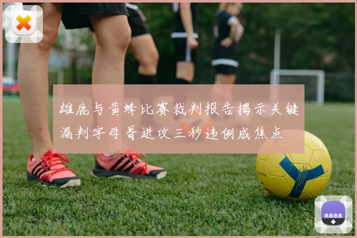 雄鹿与黄蜂比赛裁判报告揭示关键漏判字母哥进攻三秒违例成焦点