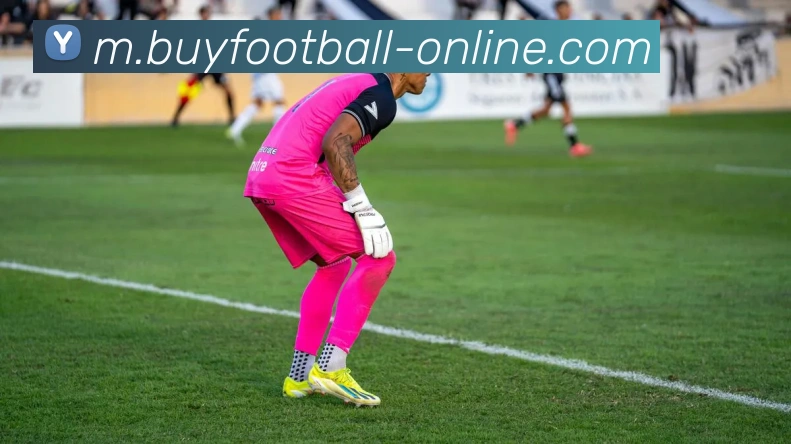 恭贺瓦科荣获中超联赛年度最佳球员称号展现卓越实力与风采